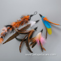 one retractable wand cat feather teaser pack toy